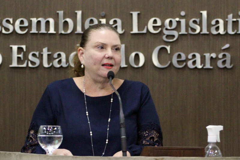 Deputada Fernanda Pessoa Entra De Licença E Carlos Matos Retorna Para A Assembleia Legislativa 