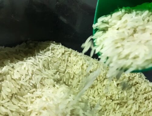 Economia: Brasil vai precisar importar arroz para evitar especulação de preços
